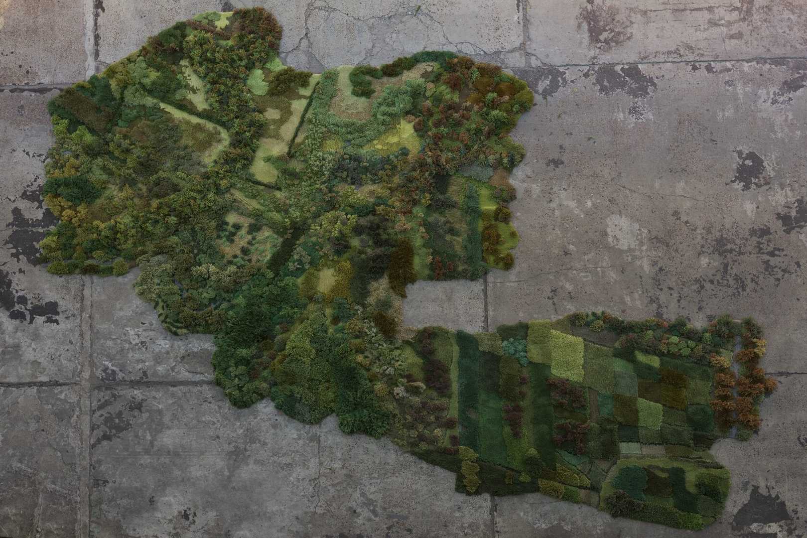 proekt-kozha-zemli