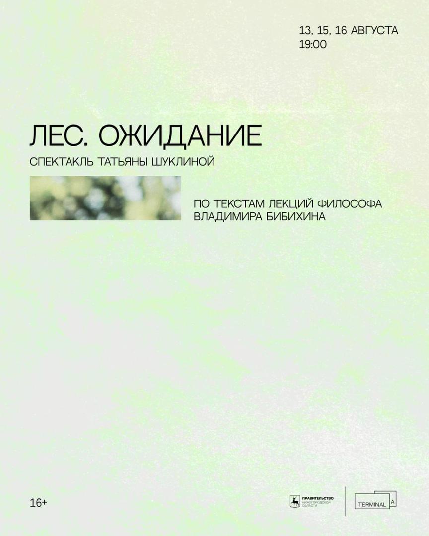 spektakl-les-ozhidanie
