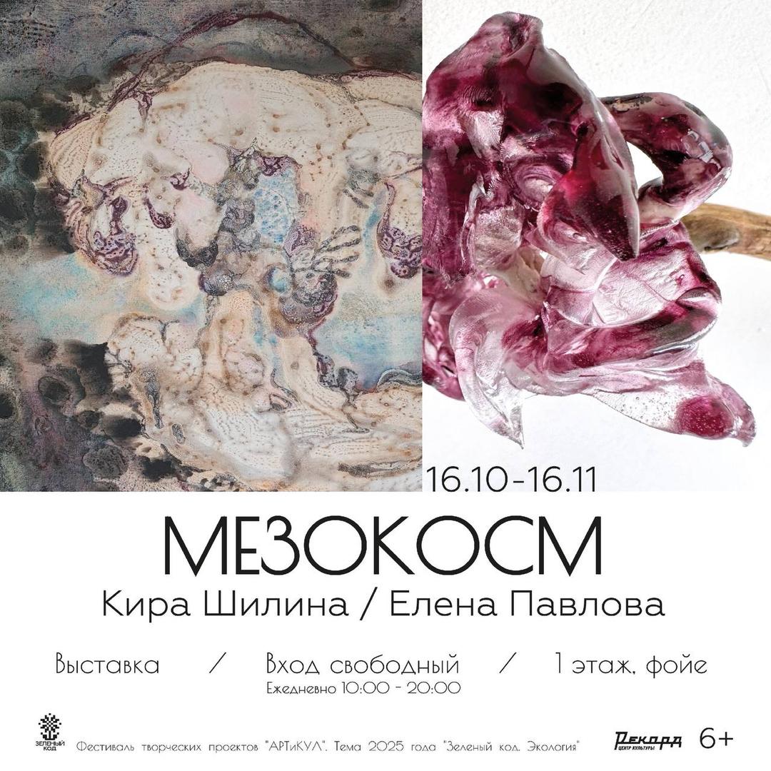 vystavka-mezokosm