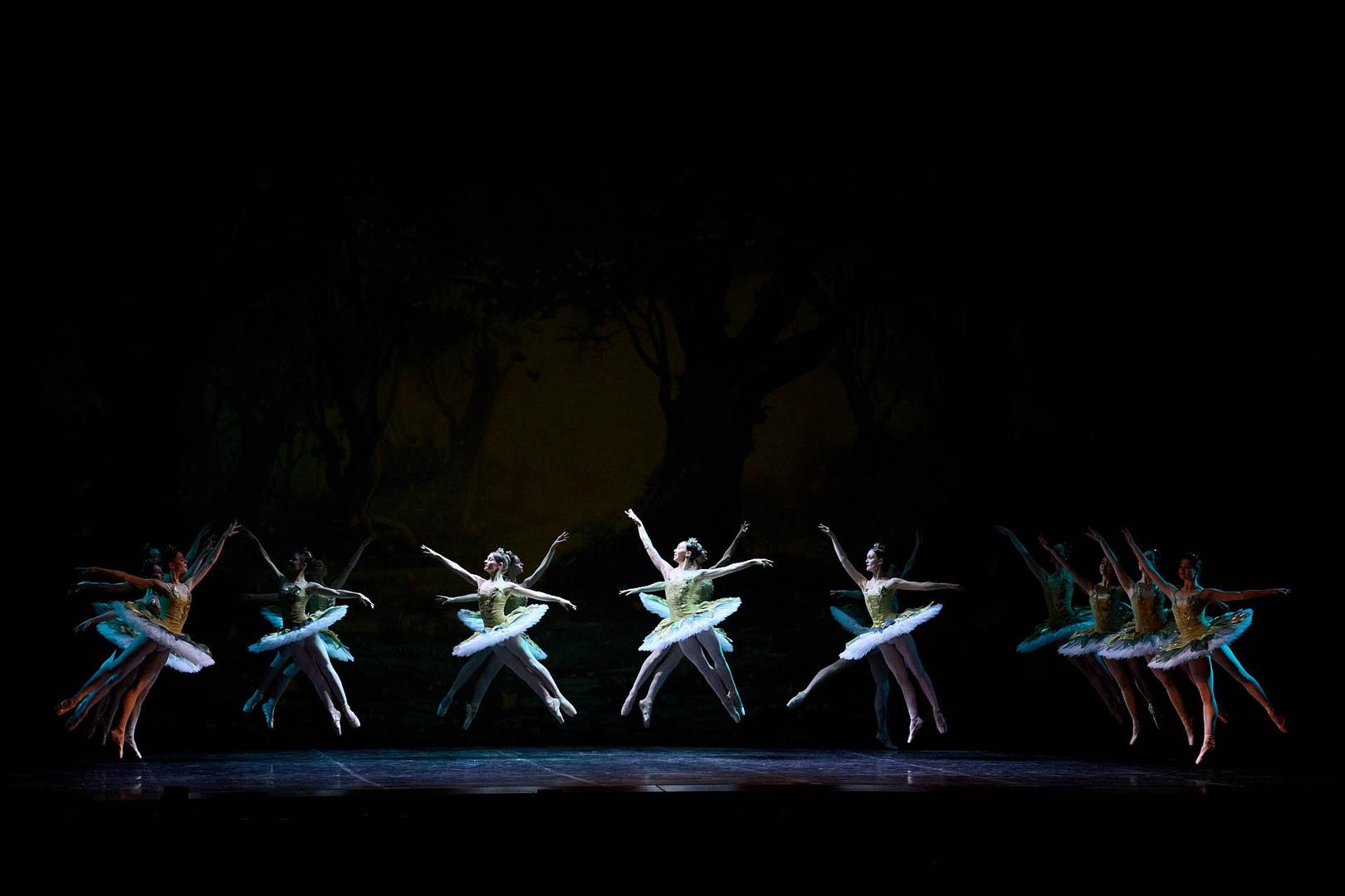 ot-plie-do-fouette-sekrety-baleta