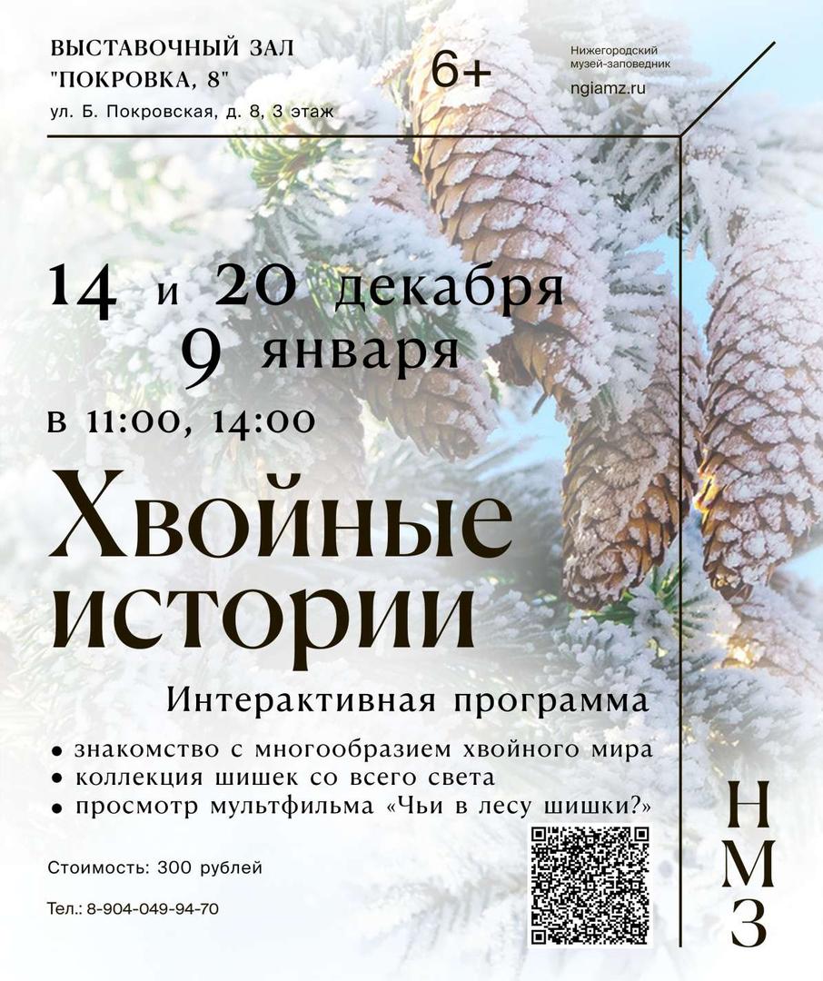 poznavatelnaya-programma-khvoynye-istorii