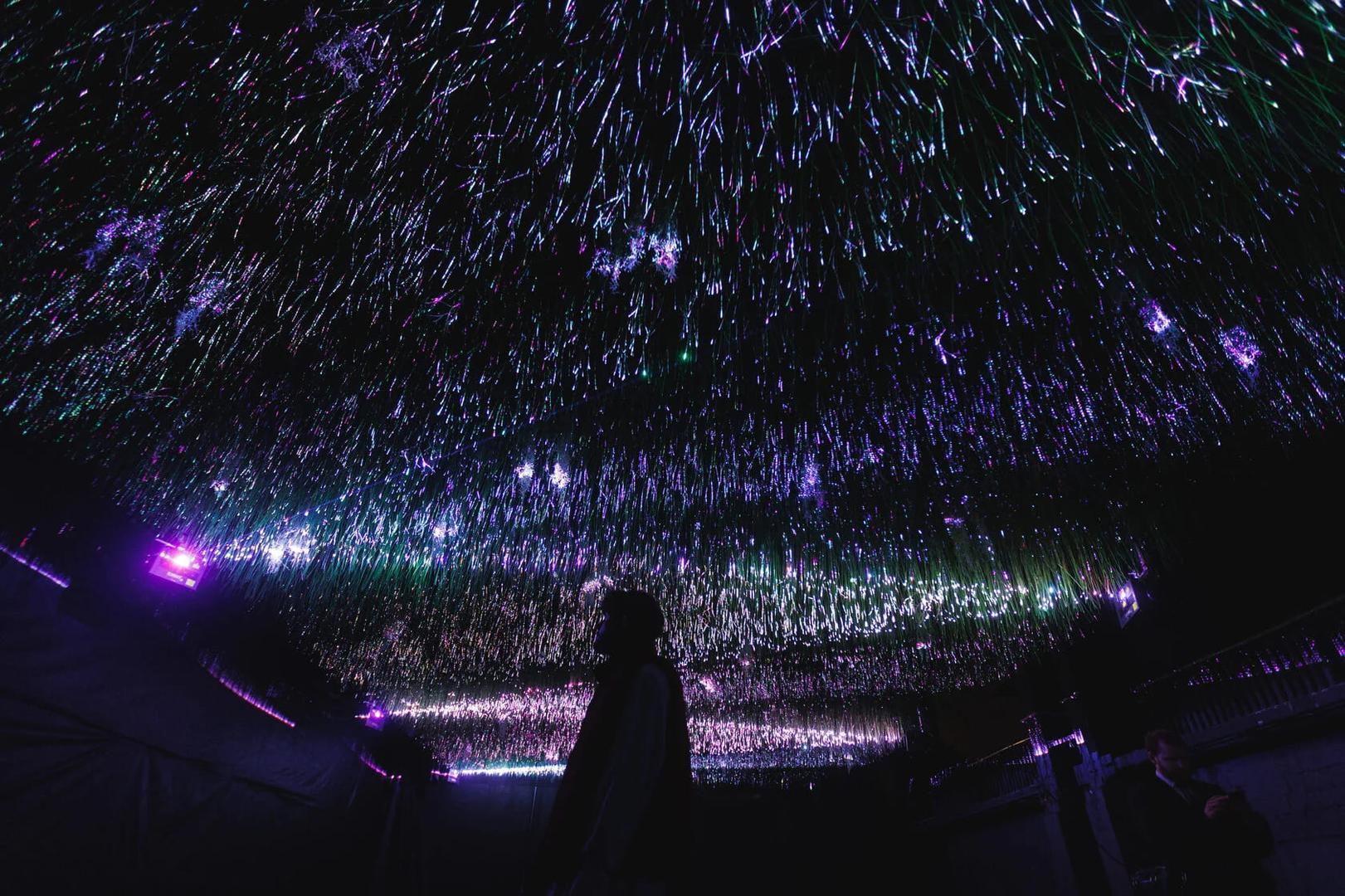 multimediynaya-vystavka-tundra